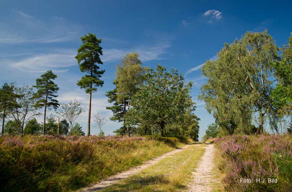 Lüneburger Heide rund um Wilsede