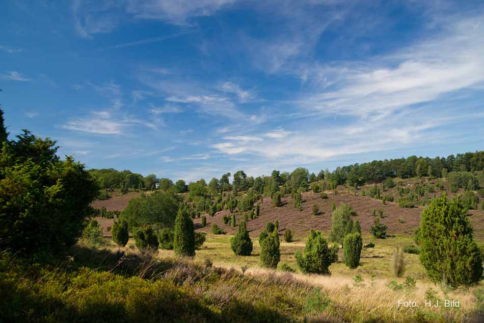 Lüneburger Heide rund um Wilsede