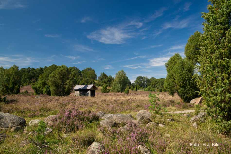 Lüneburger Heide rund um Wilsede