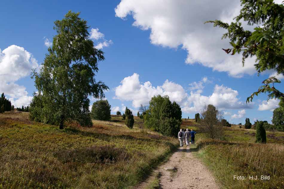 Lüneburger Heide rund um Wilsede