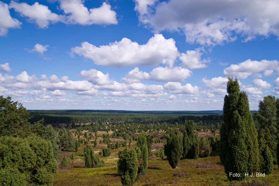 Lüneburger Heide rund um Wilsede