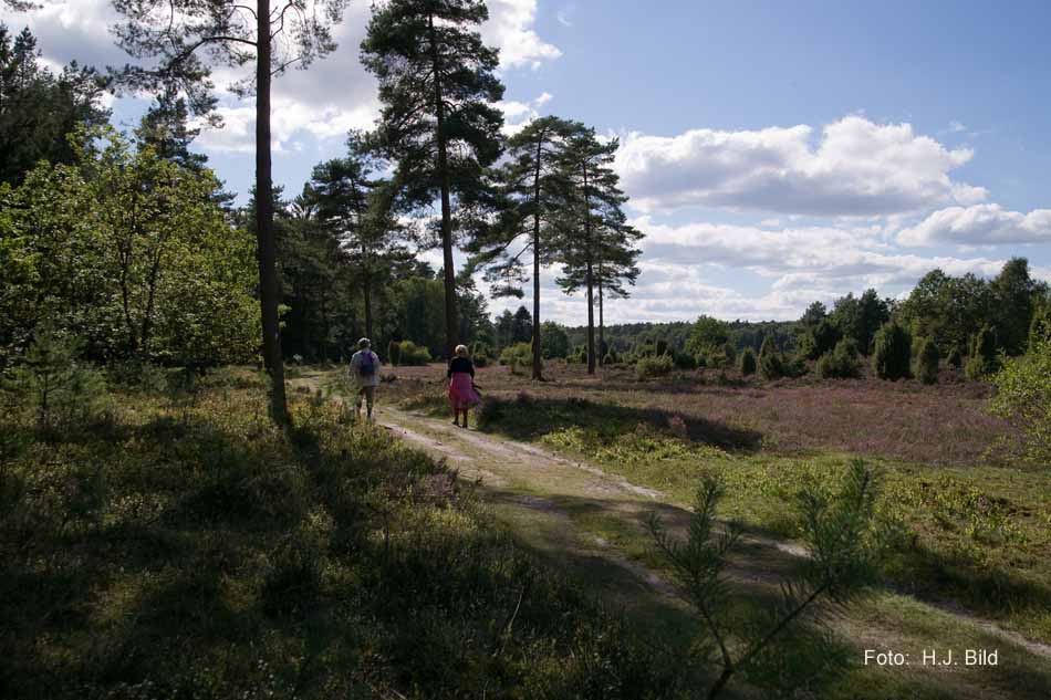Lüneburger Heide rund um Wilsede