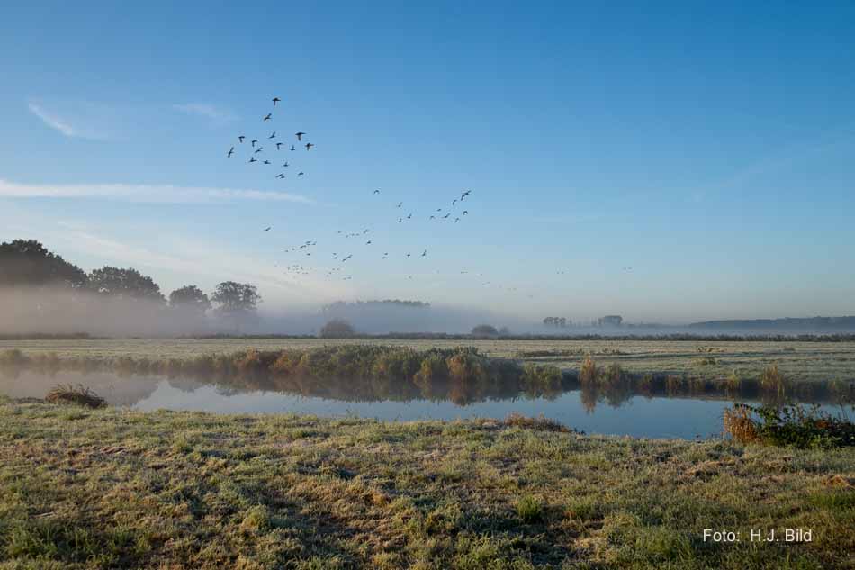 Morgentliche Nebelschleier