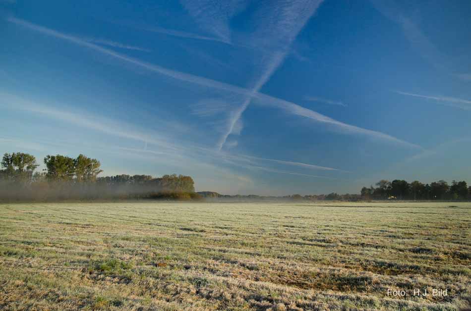 Morgentliche Nebelschleier