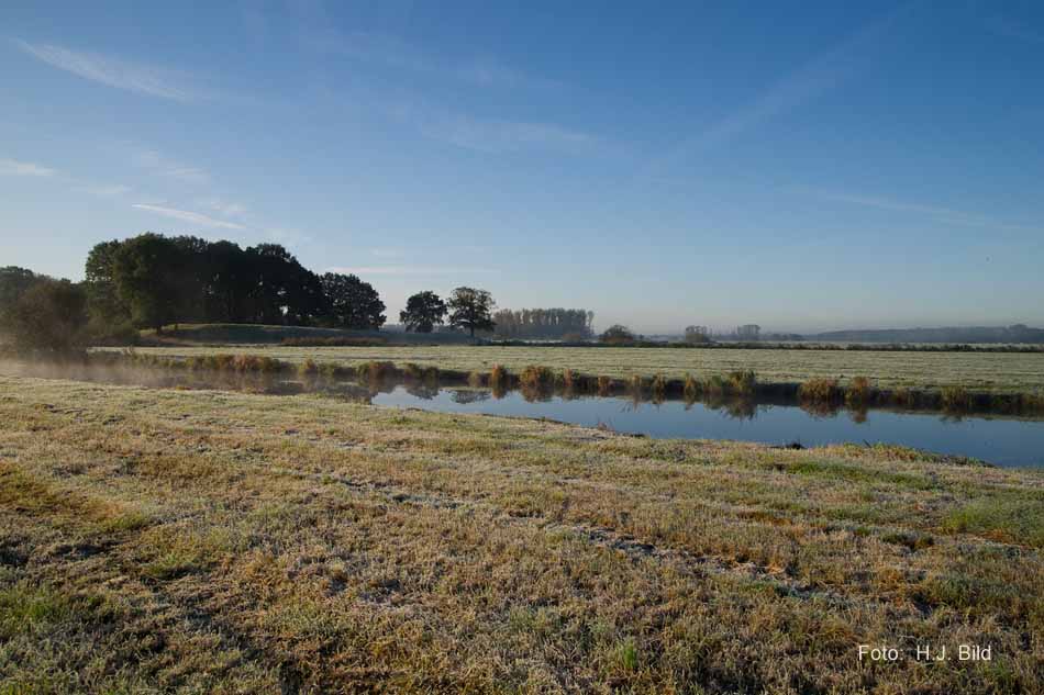 Morgentliche Nebelschleier