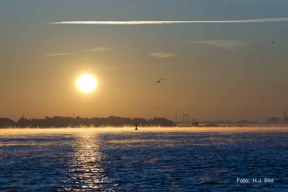 Morgentliche Nebelschleier