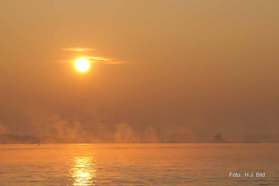 Morgentliche Nebelschleier