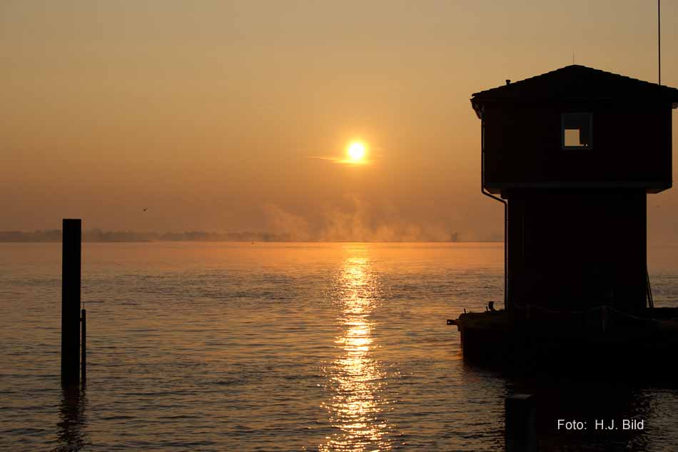 Morgentliche Nebelschleier