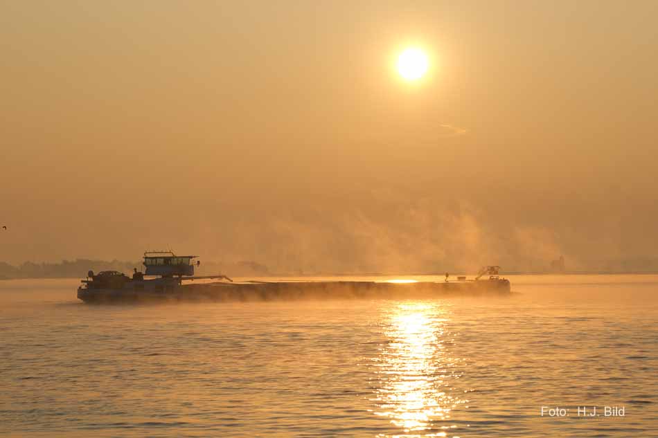 Morgentliche Nebelschleier