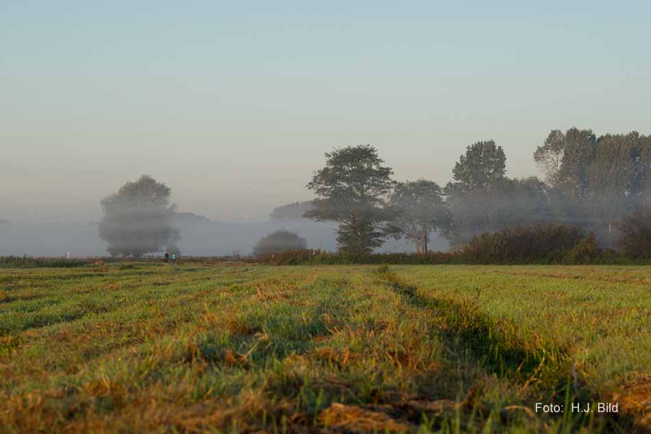Morgentliche Nebelschleier