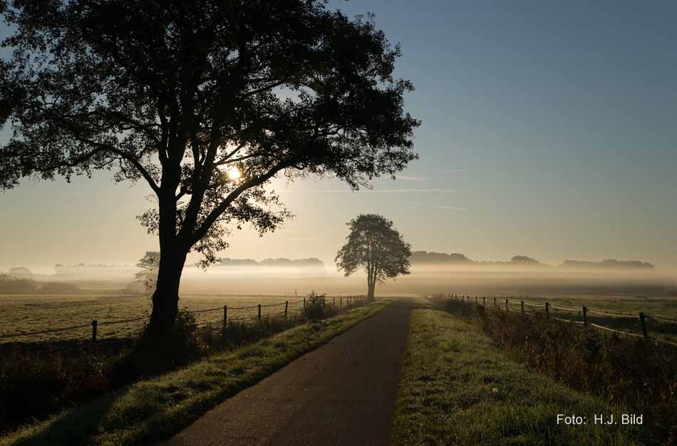 Morgentliche Nebelschleier
