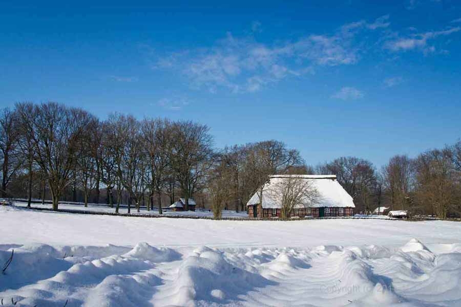 Fotografien von der Lüneburger Heide im Winter