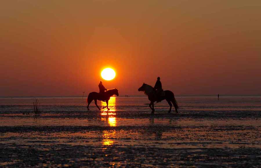 Cuxhavener Wattenmeer