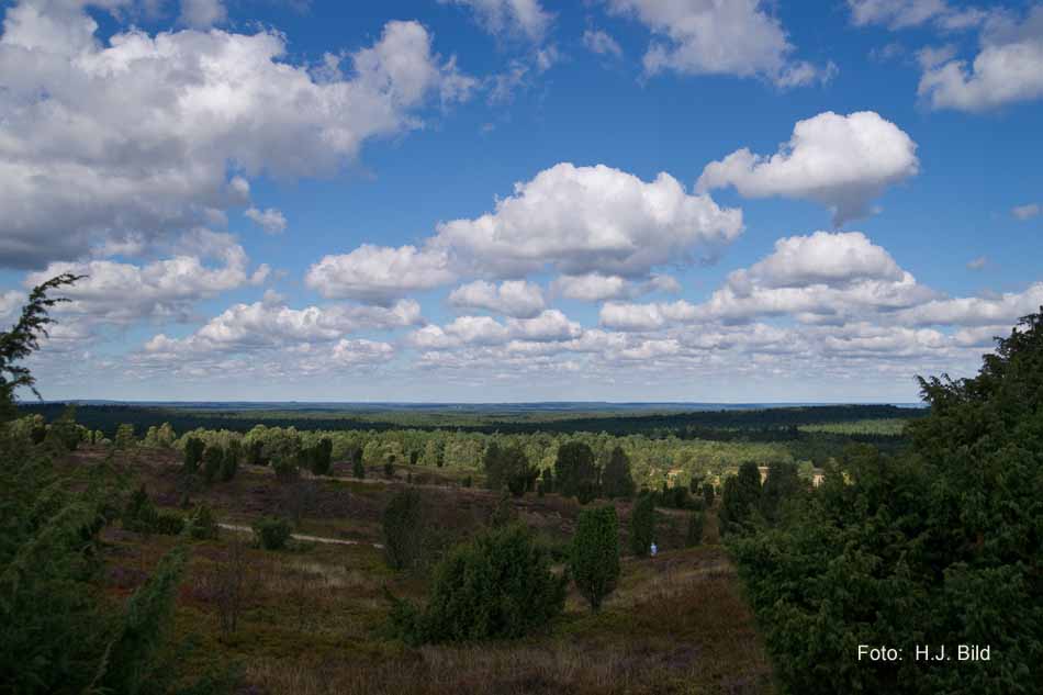 Lüneburger Heide rund um Wilsede