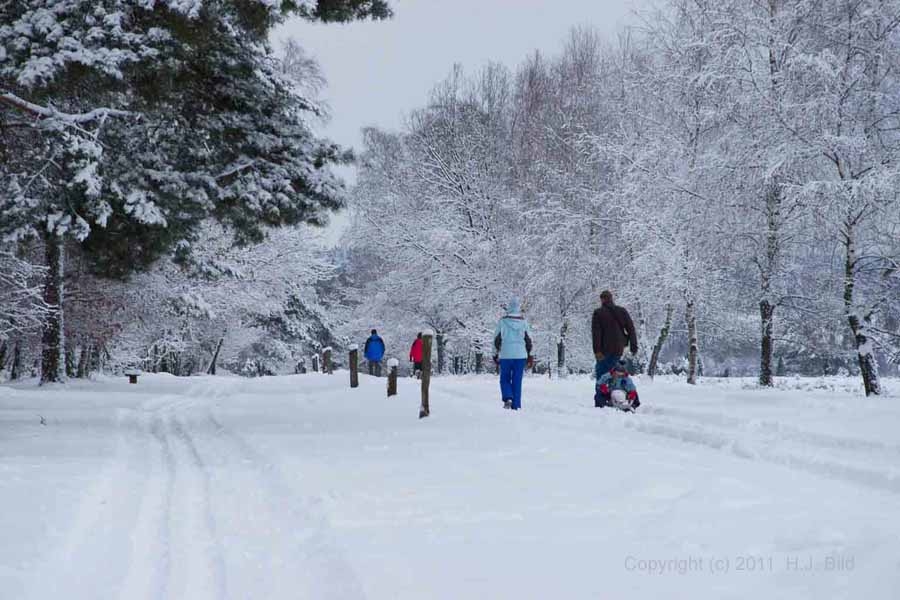 Fotografien von der Lüneburger Heide im Winter