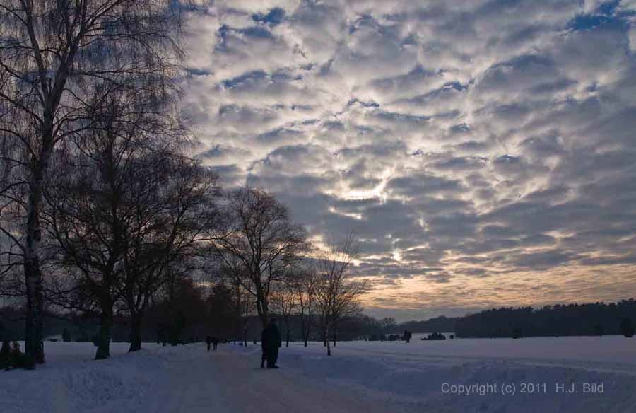 Fotos von der Lüneburger Heide im Winter