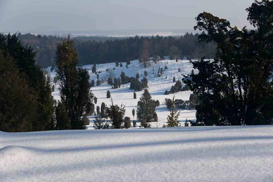 Fotos von der Lüneburger Heide im Winter