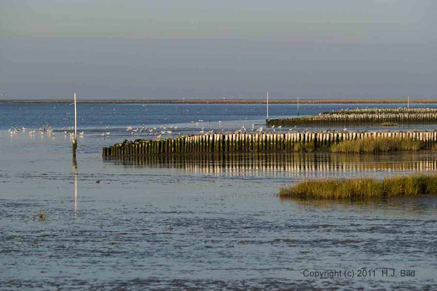 Fotos vom Cuxhavener-Wattenmeer