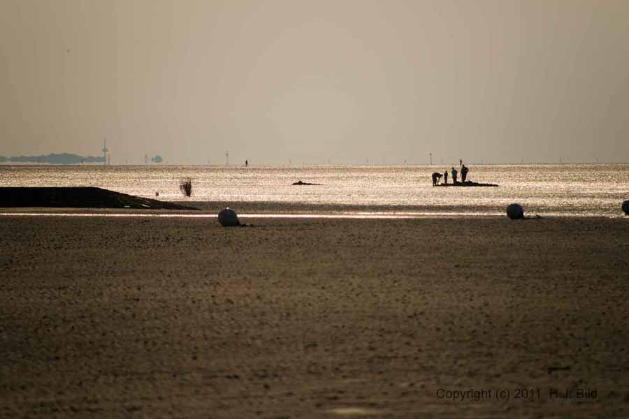Wattenmeer Cuxhaven