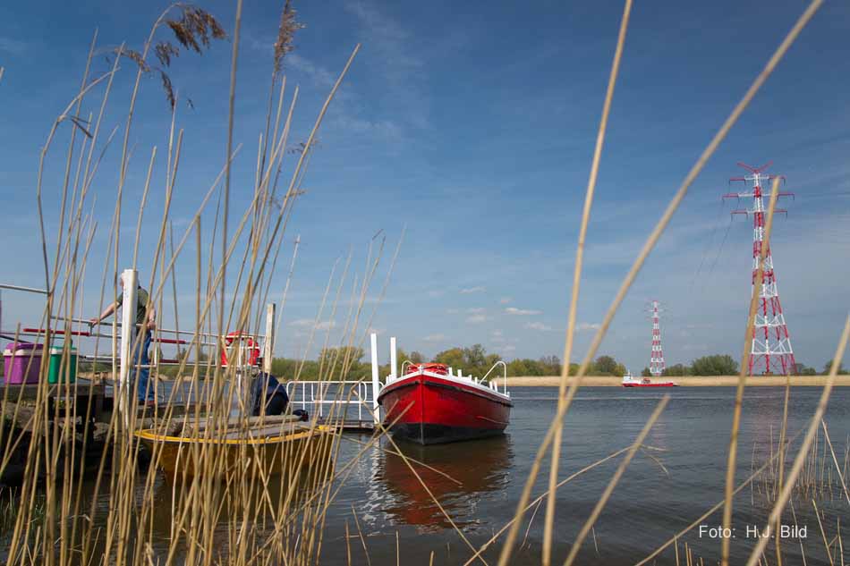 Schiffsverkehr auf der Nieder-Elbe