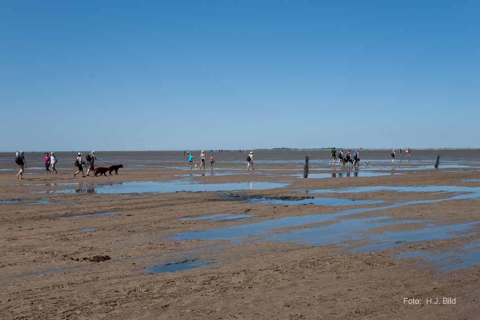 Wattwanderung nach Neuwerk