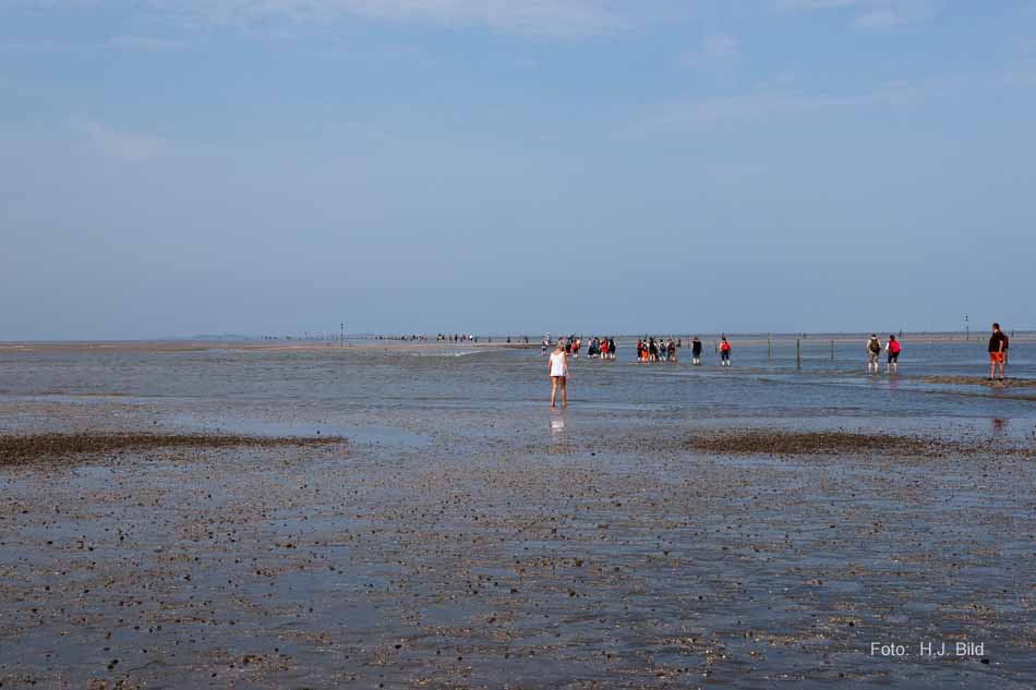 Wattwanderung nach Neuwerk