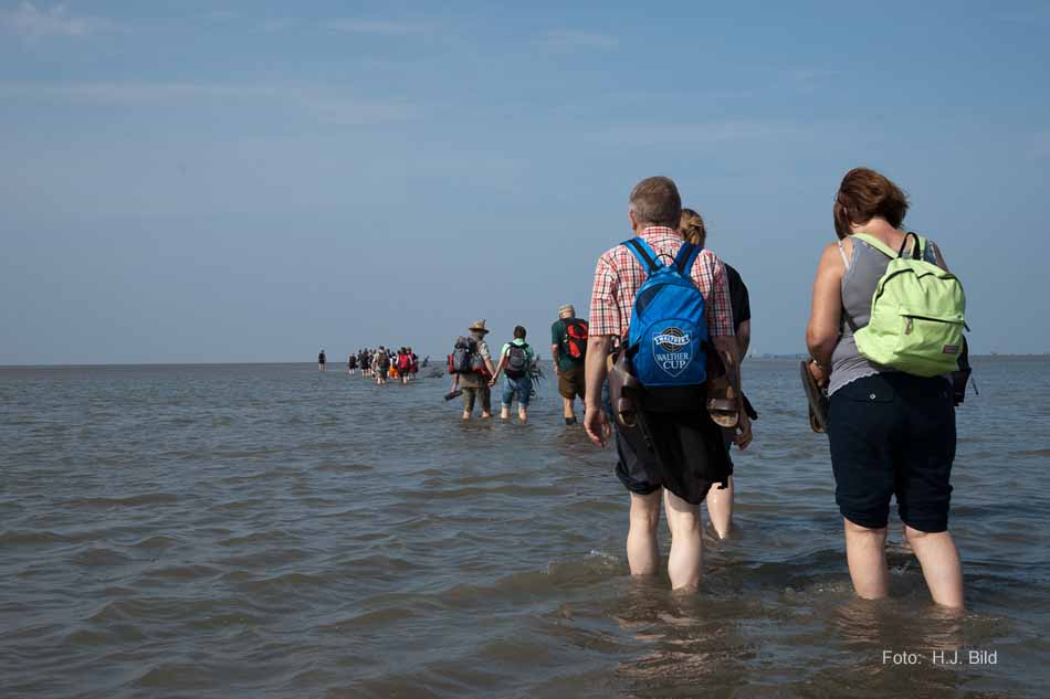 Wattwanderung nach Neuwerk
