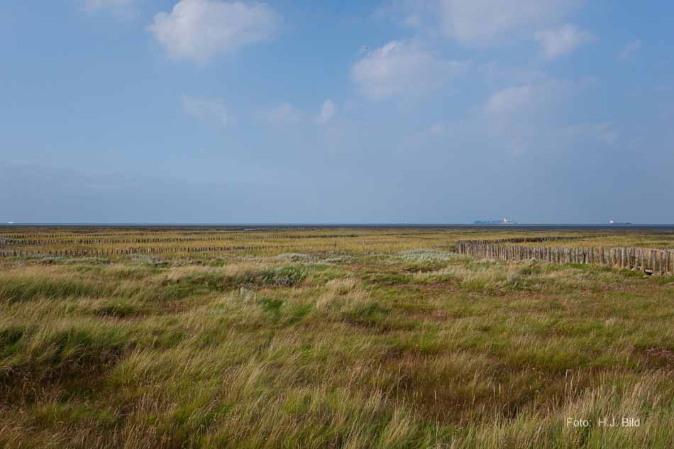 Wattwanderung nach Neuwerk