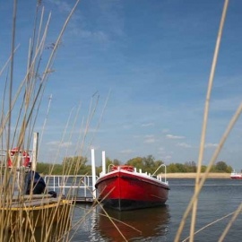 Schiffsverkehr auf der Nieder-Elbe