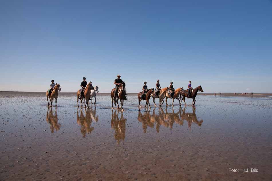 Wattwanderung nach Neuwerk