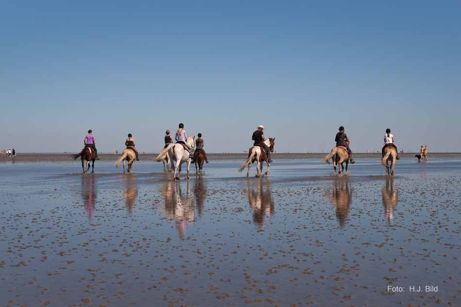 Wattwanderung nach Neuwerk