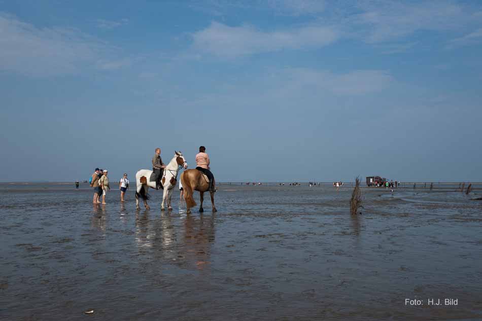 Wattwanderung nach Neuwerk