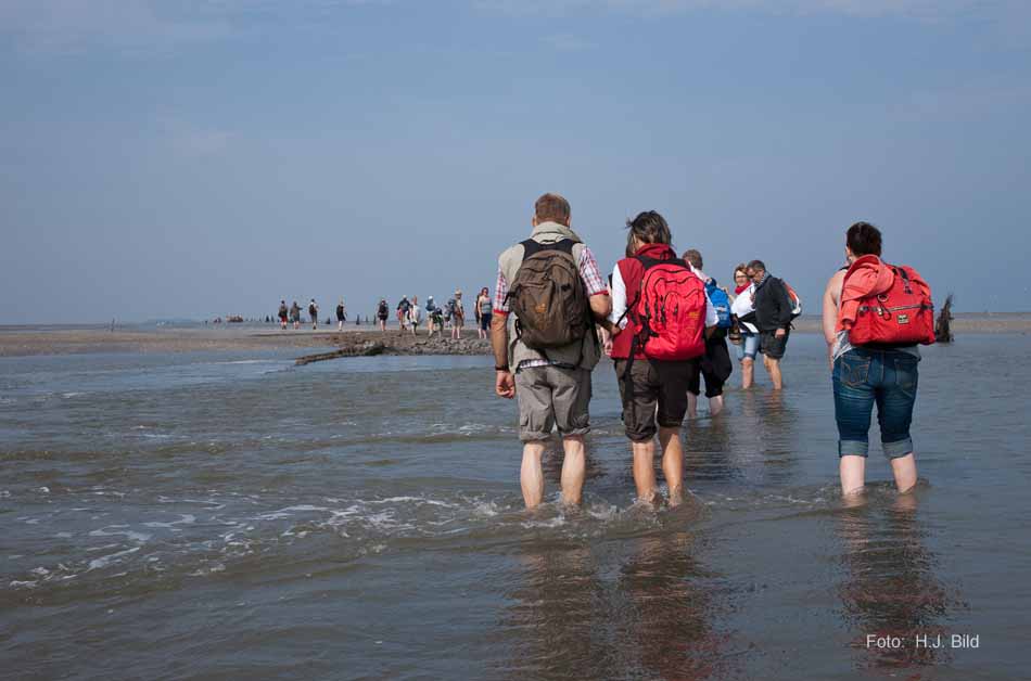 Wattwanderung nach Neuwerk