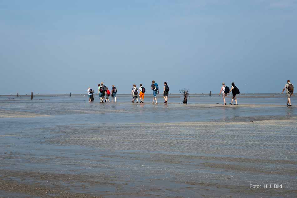 Wattwanderung nach Neuwerk