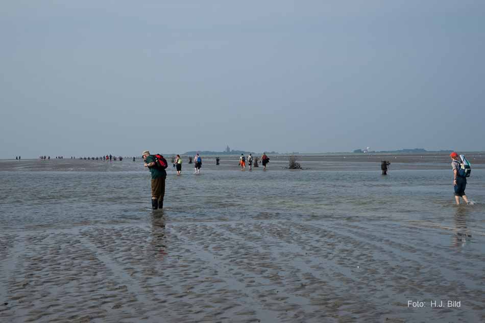 Wattwanderung nach Neuwerk