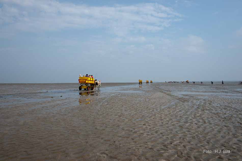 Wattwanderung nach Neuwerk
