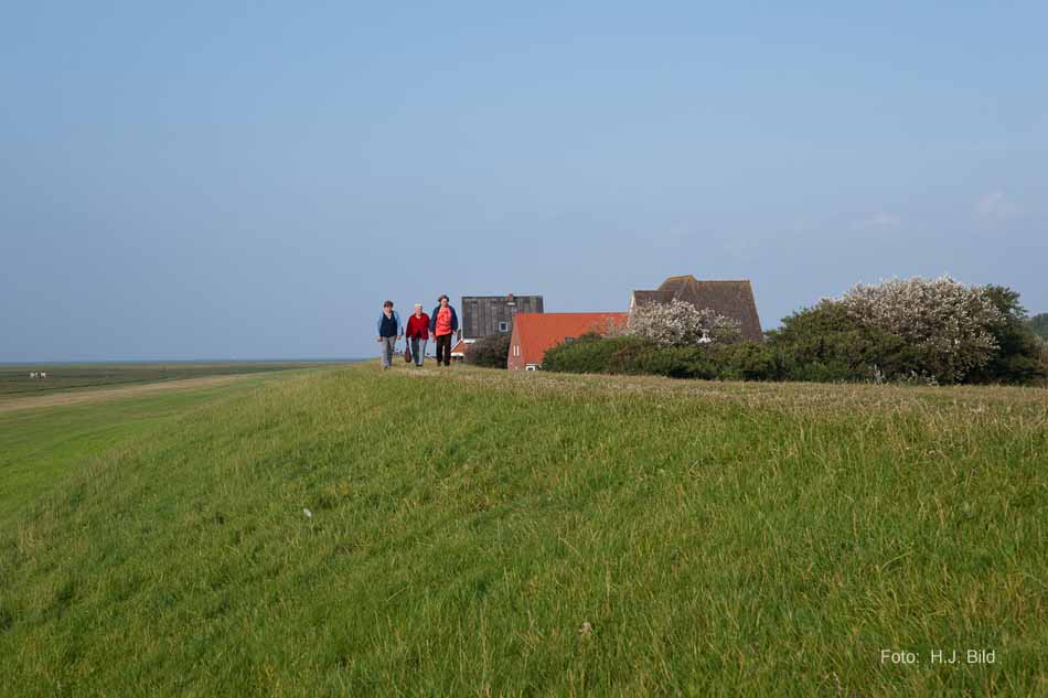 Wattwanderung nach Neuwerk